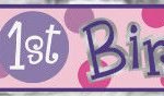 Happy 1st Birthday Banner 3.6m Pink Ladybug 40408