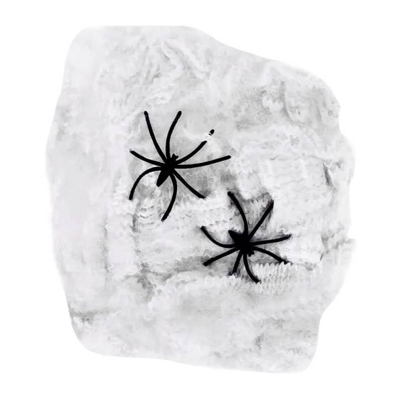 Spider Web With 2 Spiders Halloween Decorations 22801-02